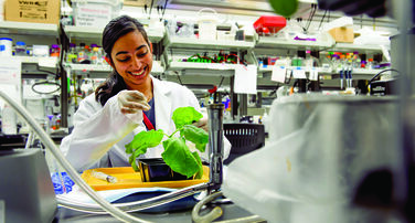 School of Life Sciences